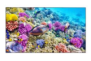  Фото видеостена 2x2 eliteboard 55" bk557ffle - фото 3