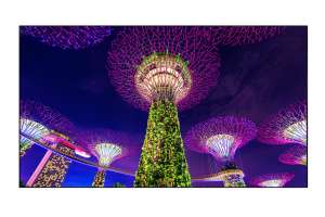  Фото видеостена 3x2 eliteboard 55" sk555fcln - фото 3