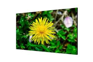  Фото видеостена 3x2 hikvision 55" ds-d2055le-g - фото 3