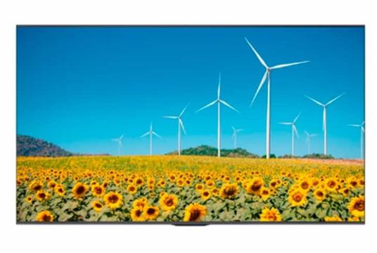  Фото информационный дисплей hisense 55" 55dp30fe - фото 2