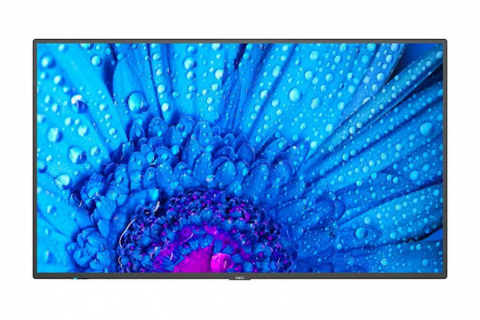 Изображение Информационный дисплей NEC 65" M651