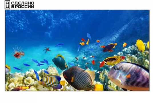 Изображение Панель для видеостен EliteBoard 55" BE-55D5