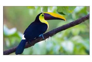  Фото видеостена 3x3 exell 55" expd-wa55ab15 - фото 3